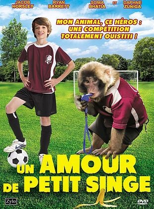 poster du film Un amour de petit singe